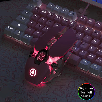 Souris Gaming Ergonomique RGB — Filaire & Silencieuse